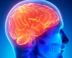 Naturopathic CE Course Brain Disorders