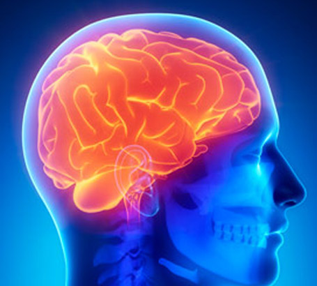 Naturopathic CE Course Brain Disorders
